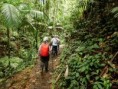 /album/fotogaleria-panama/panama-37-jpg1/